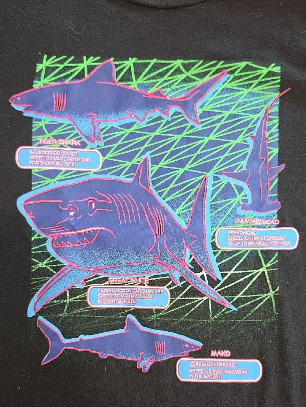 GAP Set Of 3 Graphic Tee's